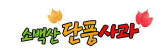 단풍사과 영주
