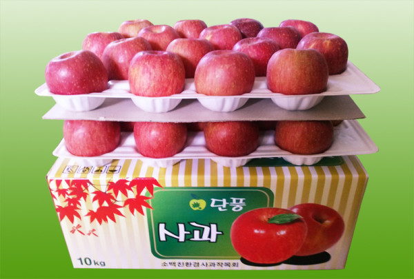 단풍사과  10kg 44과이내 