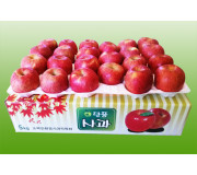 단풍사과 5kg19과이내 