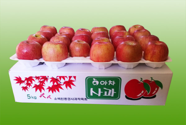 아차 사과 5kg 17과 이내