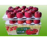 단풍 10kg 34과 이내