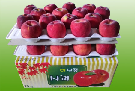 단풍 10kg 34과 이내
