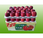 단풍 10kg 44과 이내