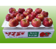 아차 5kg 17과 이내