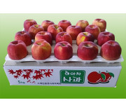 아차 5kg 19과 이내