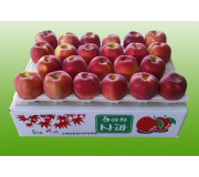 아차 5kg 22과 이내