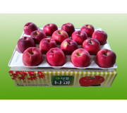 단풍 5kg 17과 이내