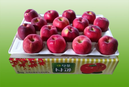 단풍 5kg 17과 이내