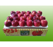 단풍 5kg 22과 이내