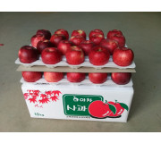 아차사과 10kg 38과 이내