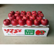 아차사과 5kg 22과 이내