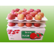 아차사과 10kg 28과 이내