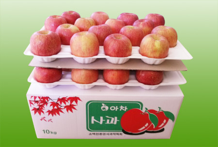아차사과 10kg 28과 이내