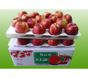 아차 10kg 28과 이내