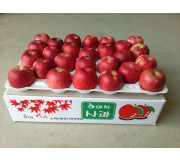 아차사과 5kg 14과 이내